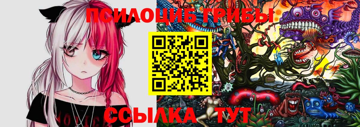 Лсд 25 Елабуга